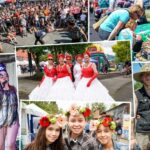 Fremont Festival of the Arts: The West Coast’s Hidden Gem